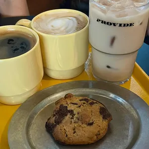 프로바이드 사진