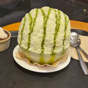 눈솜 사진