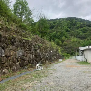 연당 리뷰 사진