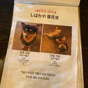 시바카야 라카세 리뷰 사진