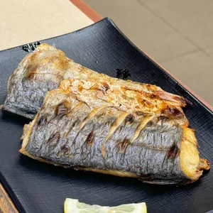 부산에뜬고등어 사진