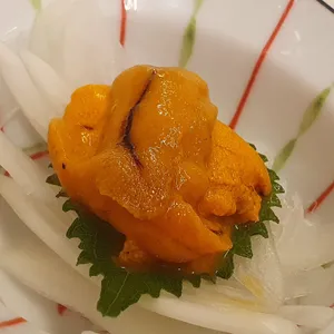 치히로 사진