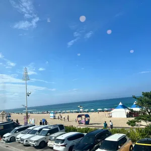 아메리카 리뷰 사진