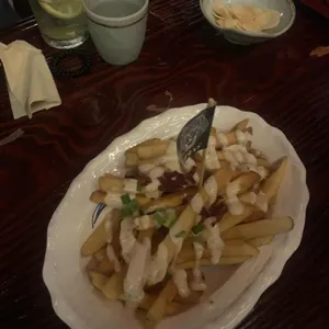 토라 사진