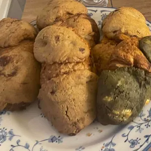 오잇오잇 사진