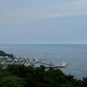 스노잉클라우드 리뷰 사진