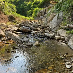 무릉도원 리뷰 사진