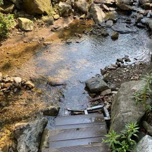 무릉도원 리뷰 사진
