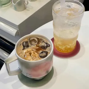 비비플로 사진