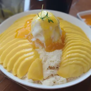 셀레브르 사진
