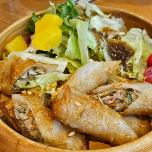 촘촘 사진