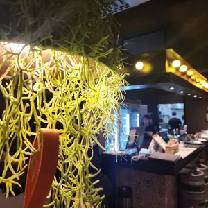 누에보 리뷰 사진