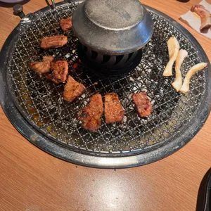 꽃봉우리 사진