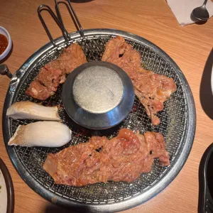 꽃봉우리 사진