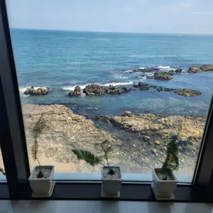 씨앤트리 리뷰 사진
