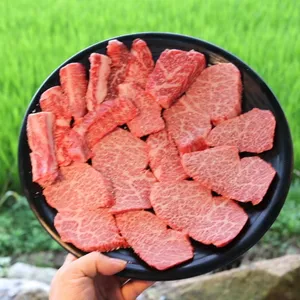 철마 한우 수목원 사진