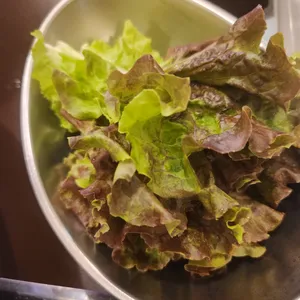월화식당 사진