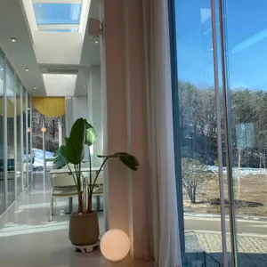 로 리뷰 사진