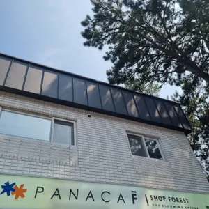 파나카F 리뷰 사진