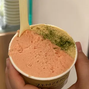 젠제로 사진