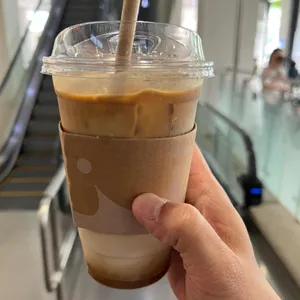 폴바셋 사진