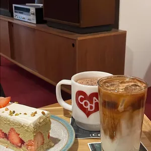코다 사진
