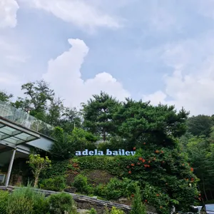 아델라베일리 대표 사진