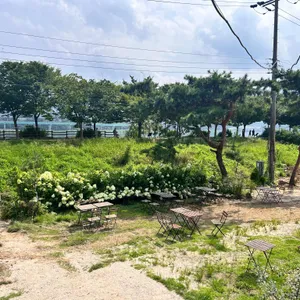 드로게리아 리뷰 사진