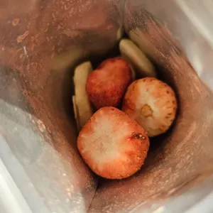 스타벅스 사진