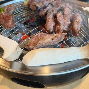 우포 사진