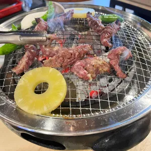 우포 사진