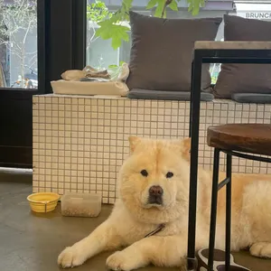 Tennote 대표 사진