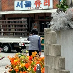 TAA 리뷰 사진