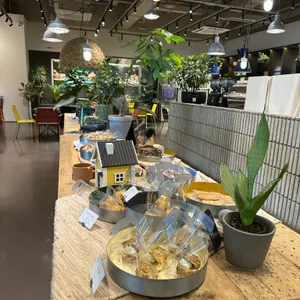 마이알레 리뷰 사진