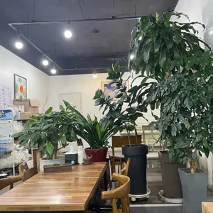 맷돌송가네순두부 리뷰 사진