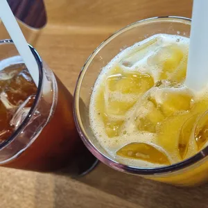 반야원 플라타너스 사진