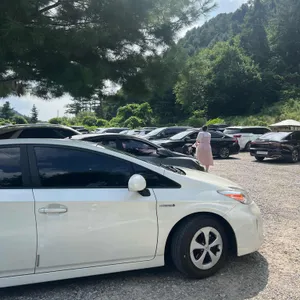 타샤의정원251 리뷰 사진