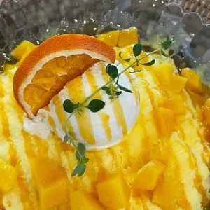 동백에서 사진