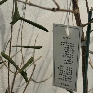 오이식 리뷰 사진