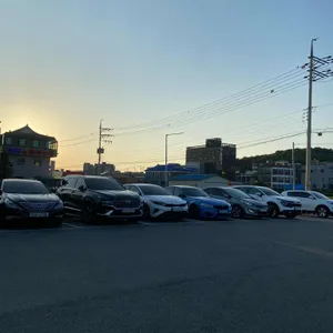삼성낙지칼국수 리뷰 사진