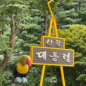 산장대통령 리뷰 사진