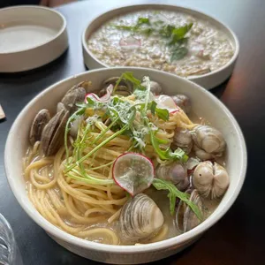 Dente덴테 사진