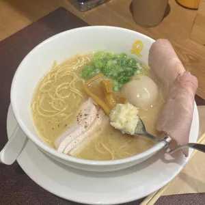 멘지 사진