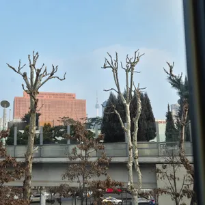 서울부띠끄 리뷰 사진