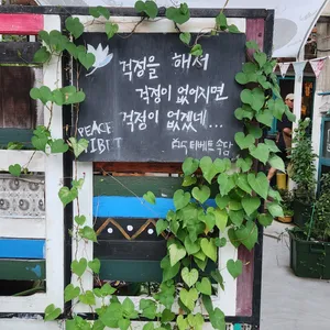 사직동 그 가게 리뷰 사진