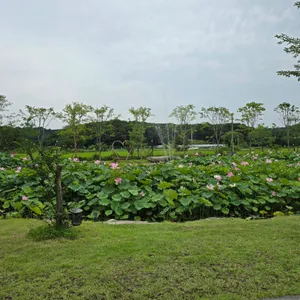 인주 리뷰 사진