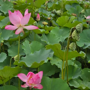 인주 리뷰 사진