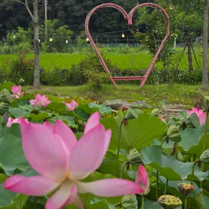 인주 리뷰 사진