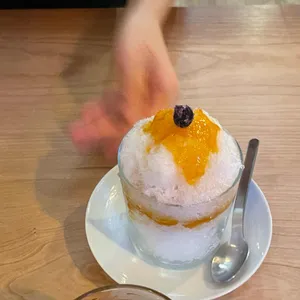 보리수 사진