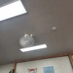 은진손칼국수 대표 사진